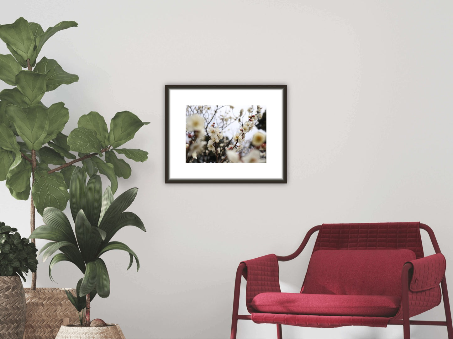 White Ume (Plum) Blossoms, Photographic A3 Poster Print