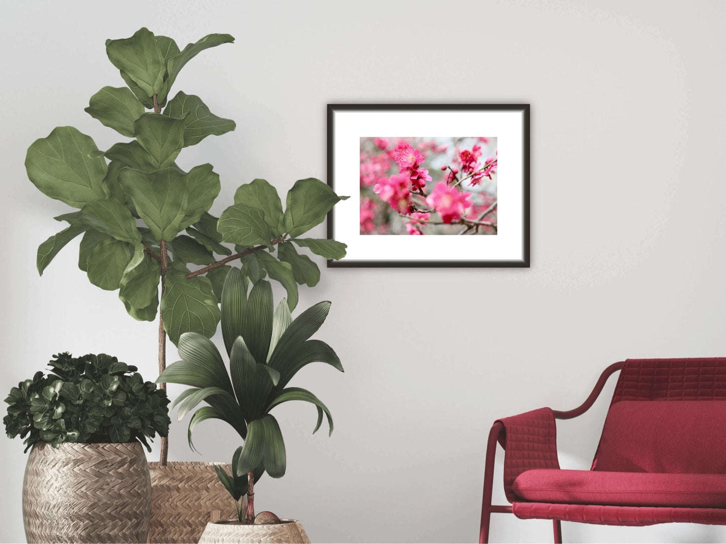Ume (Plum Blossoms) Photographic A3 Poster Print