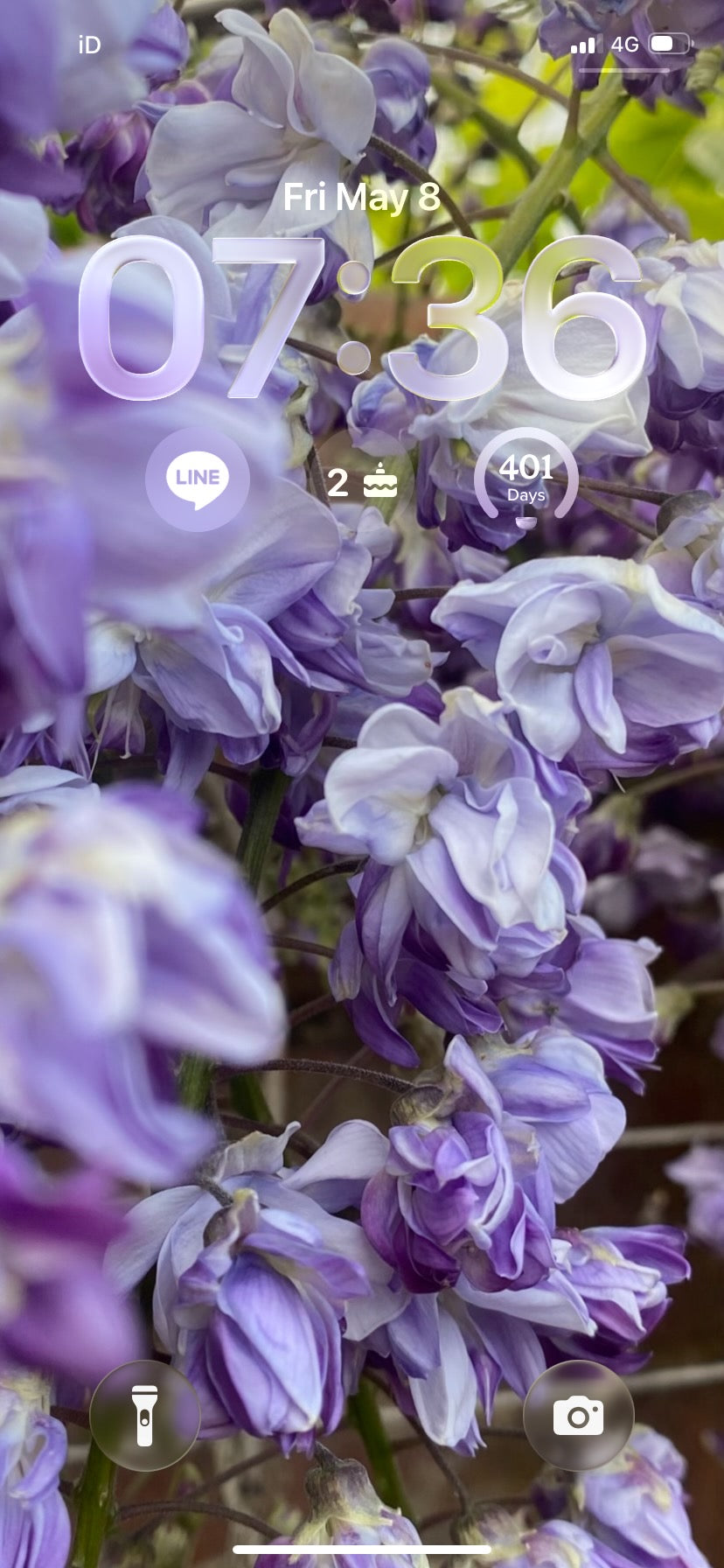 High-Resolution Mobile Phone Wallpaper: Wisteria (May 2026)