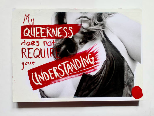 AE My Queerness Does Not Require Your Understanding